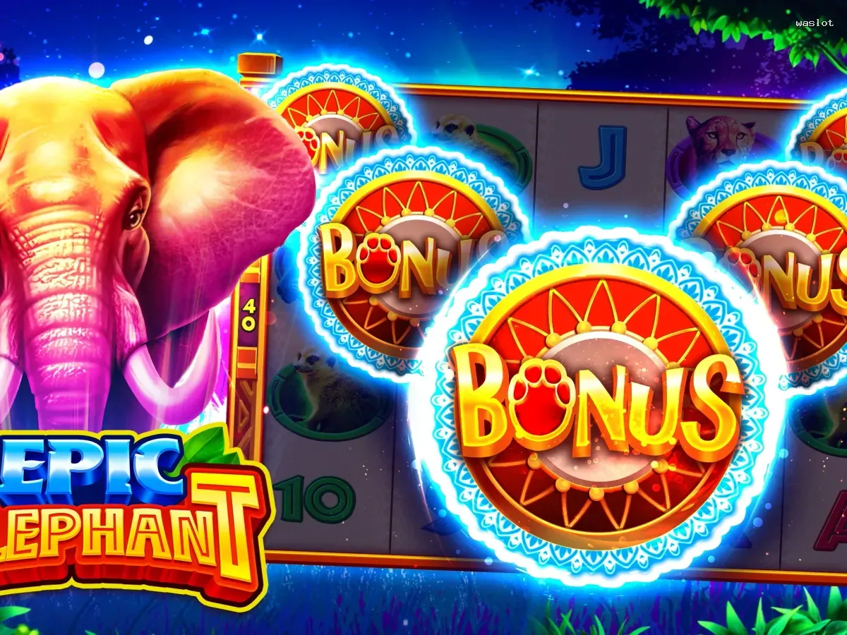 Akses waslot VIP Premium screenshot